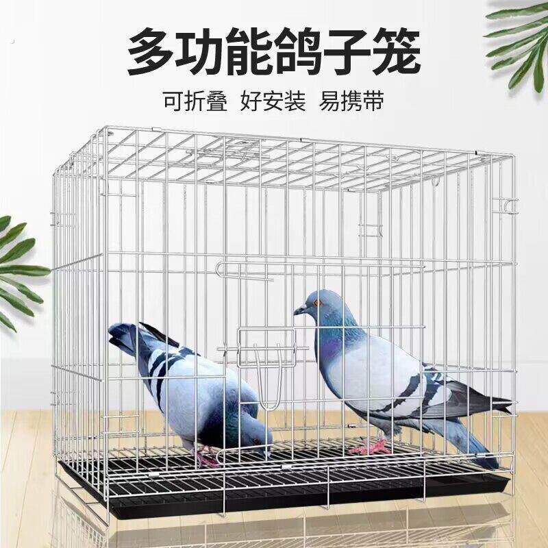鸽子笼折叠养殖笼室内新款养殖繁殖笼赛鸽公棚养家用组装加密加粗
