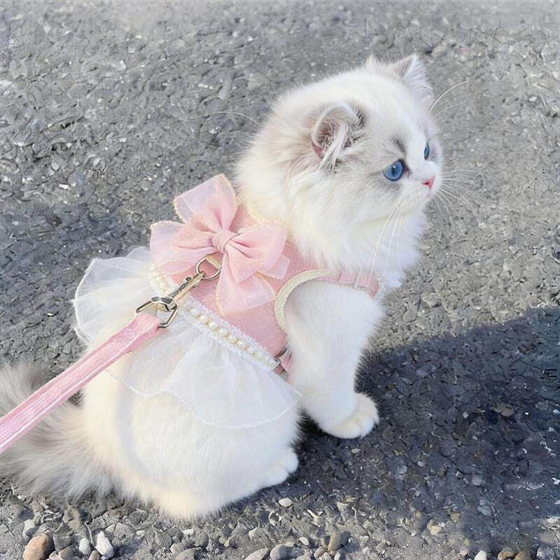 猫咪户外牵引绳小猫衣服公主风遛猫胸背防挣脱背心式遛宠物绳外出