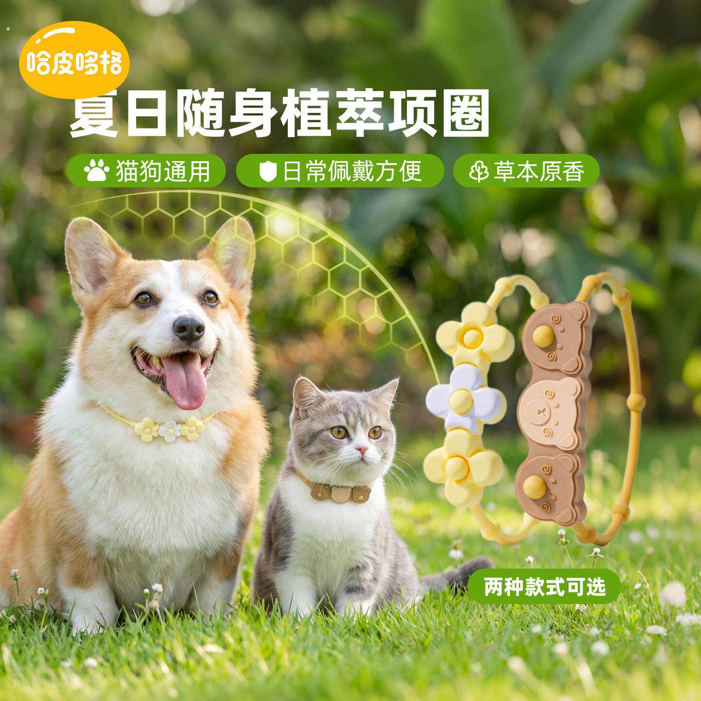 宠物狗狗项圈柯基柴犬小狗猫项圈中型犬脖圈户外遛狗狗圈颈圈用品