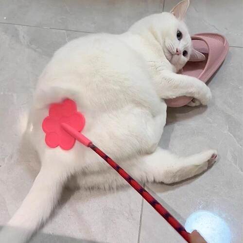 【猫咪屁股拍】宠物训练器狗狗纠错拍子教狗神器爱心拍训犬打狗棒