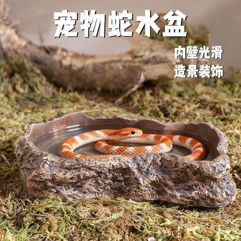 宠物蛇水盆泡澡岩石自然造景装饰玉米蛇食盆仿真猪鼻蛇创意用品