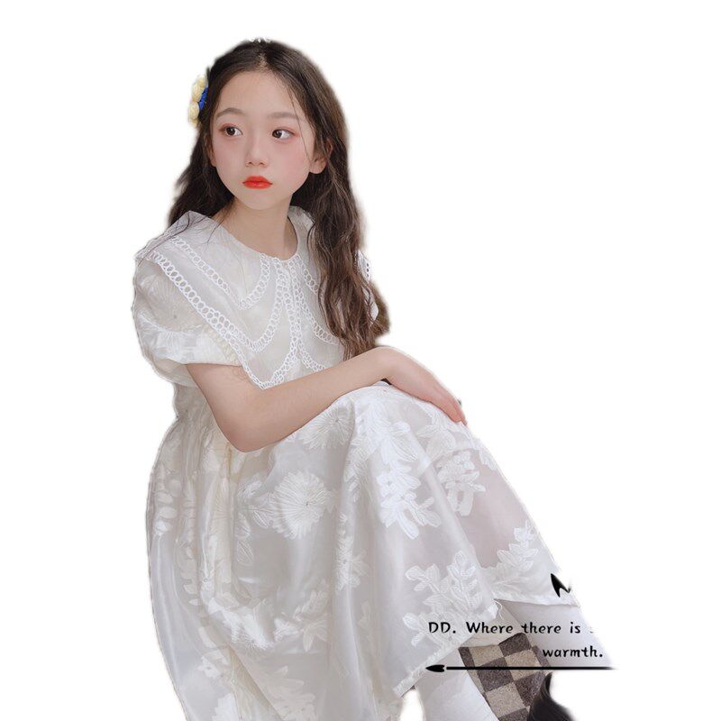 波拉韩国童装女童公主裙儿童纱裙子春夏季2024新款洋气女孩连衣裙