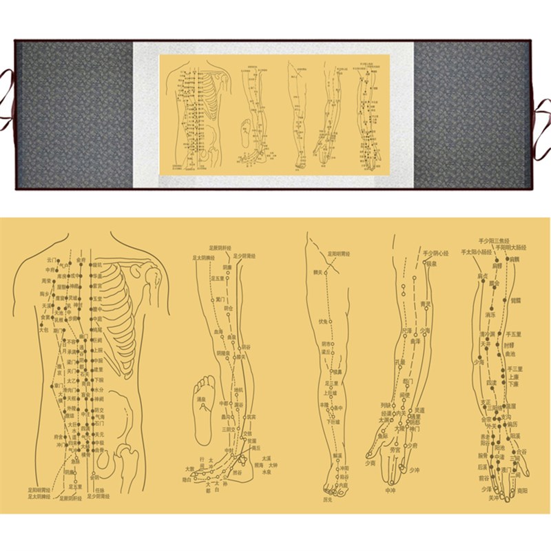 中医十二经络图丝绸画 精品人物穴位挂图 养生文化国画卷轴画定制