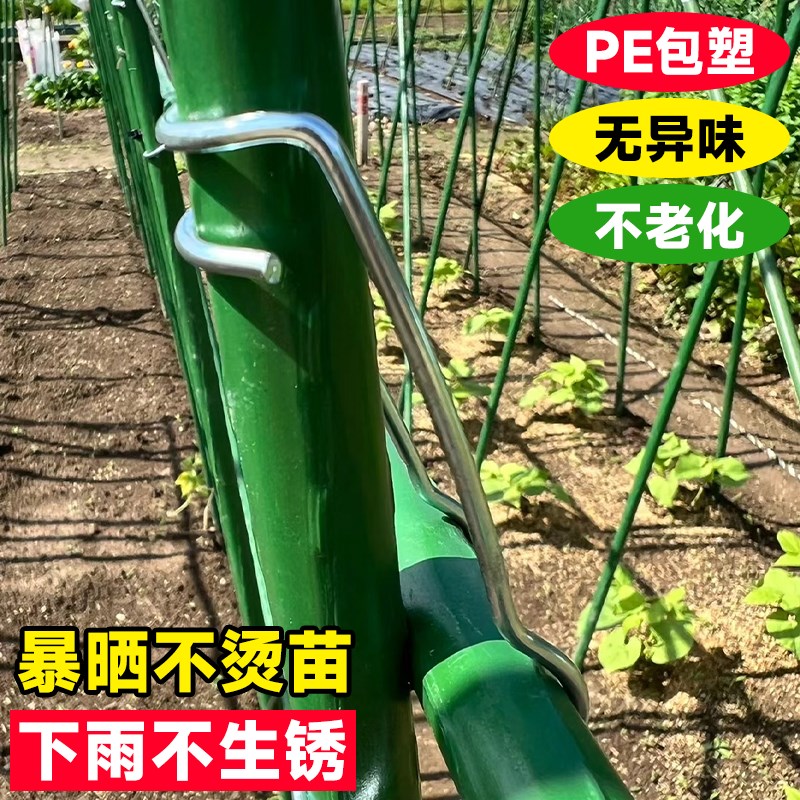 番茄爬藤架黄瓜葡萄蔬菜架杆爬藤植物固定架楼顶种菜支架菜园搭架