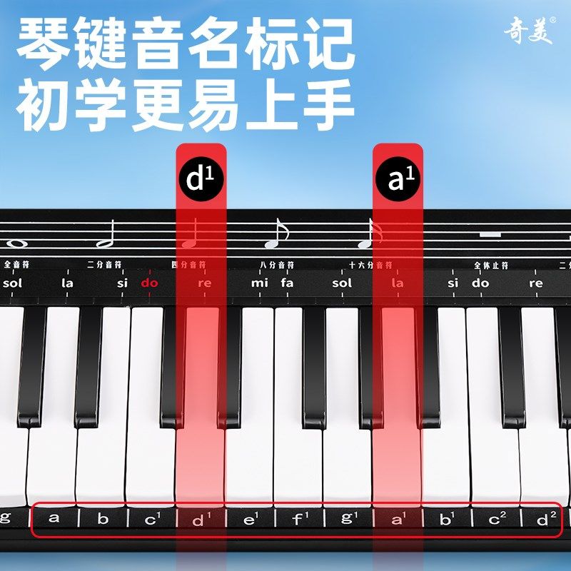 奇美全乐理口风琴37键小学生专用课堂吹管乐器儿童成人演奏口吹琴