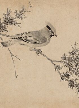赵佶(宋徽宗) 写生珍禽图 全卷 28524.7 国画画心装饰画 高清