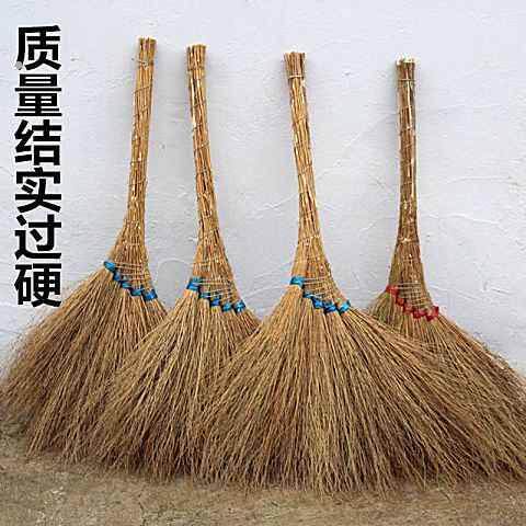铁树扫把乡下扫把农村老式扫把铁树庭院扫地扫帚环卫建筑可爱除尘