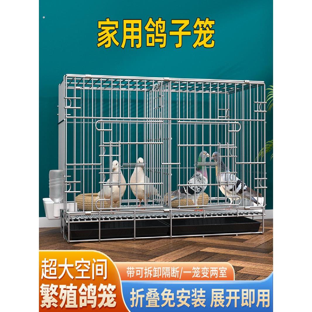 家养鸽子专用笼折叠免安装窝可配对大号繁殖带隔断一体易清理耐用