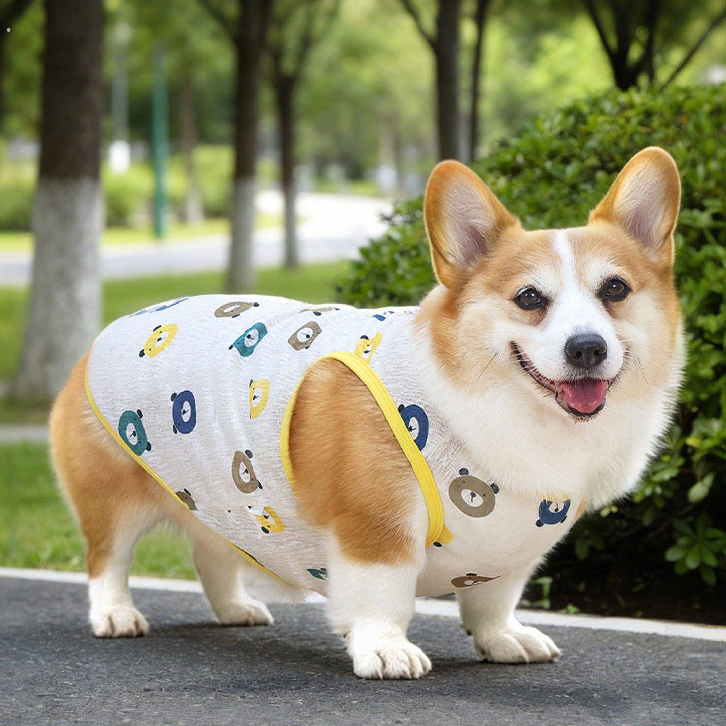 2026新款宠物狗狗衣服夏天薄款睡衣背心防掉毛柯基犬中型犬凉凉衣