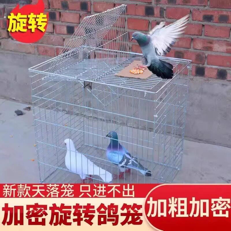 天落笼翻转鸽子笼活络门祇进不出连续收鸽笼跳笼自动门神器捕捉