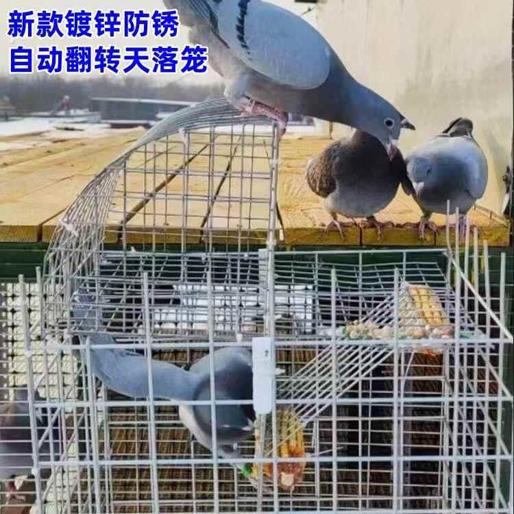 鸽子笼天落笼收鸽笼自动左右翻转连续进鸽笼屋顶阳台户外防雨防锈