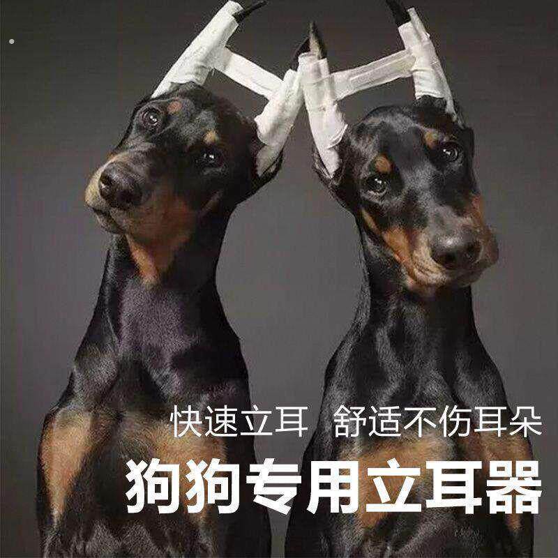 马犬立耳神器狗狗立耳棒宠物绑耳棒德牧杜宾立耳器黑狼狗耳朵软泡