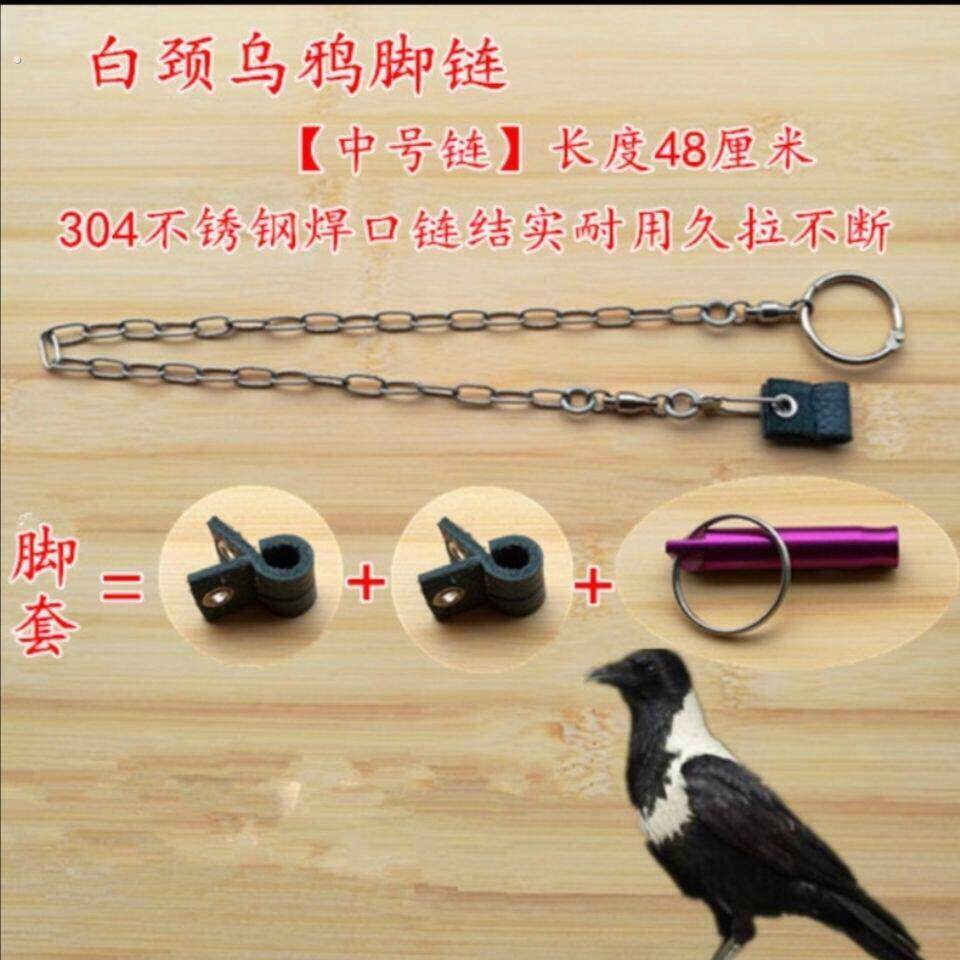 白颈乌鸦脚环/鸟用脚链脚环/皮脚套脚绊子护腿站架训鸟用品鸟具