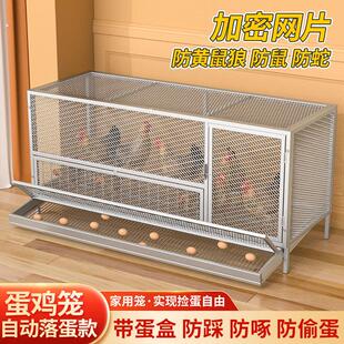 鸡笼子家用室外养殖特大号自动出蛋鸡笼防黄鼠狼农村自动清粪加厚