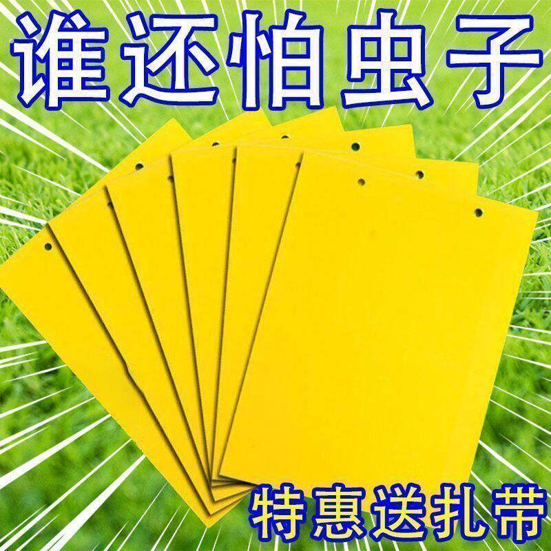 黄板双面粘虫板家用小黑飞虫果蝇纸贴诱捕器果园果树防虫板除螨贴