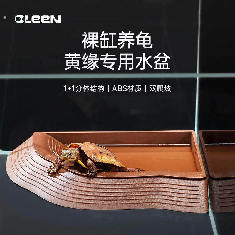 其鳞黄缘龟水盆食盆分体式半水龟乌龟喝水洗澡爬宠饲养箱造景