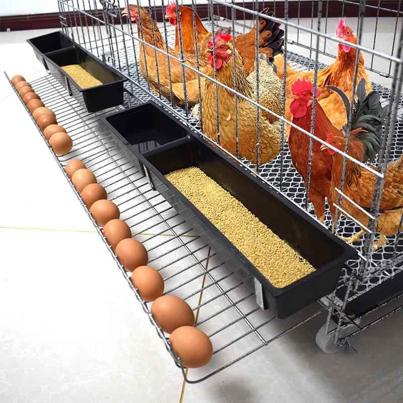 家用圈养大号铁丝网鸡笼子室外栏栅围栏鸡舍户外搭建鸡窝下蛋鸡圈