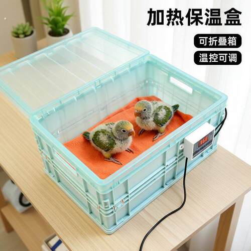 鹦鹉保温箱雏鸟恒温箱牡丹幼鸟小鸡手养孵化育雏专用加热垫饲养盒