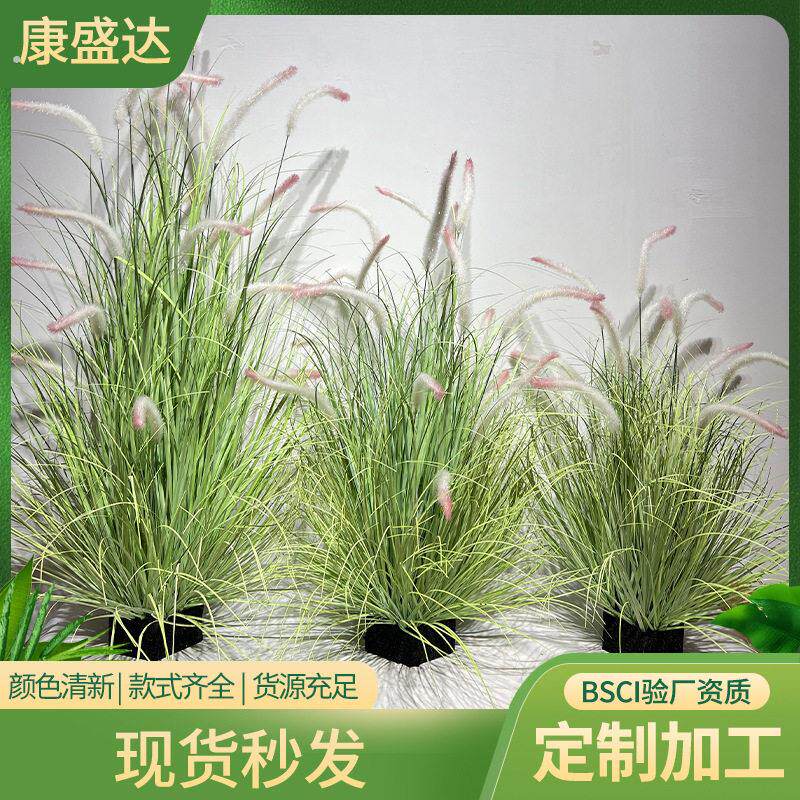 彷真芦苇狗尾巴草洋葱草室内家居送礼绿植摆件酒店婚庆多规格盆栽