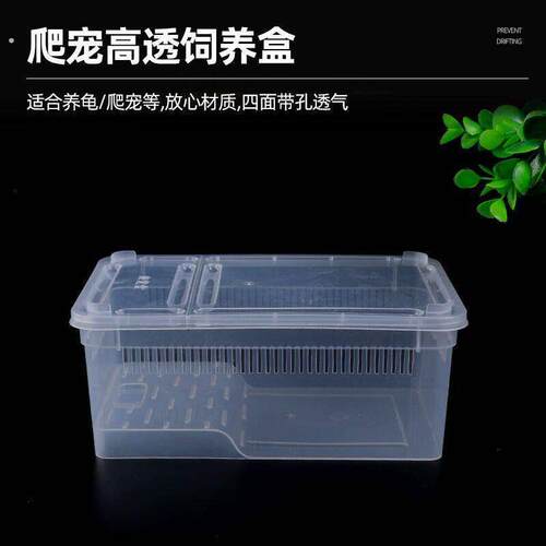 爬宠饲养盒蜘蛛角蛙蜗牛仓鼠守宫爬宠箱乌龟寄居蟹饲养缸人渣盒