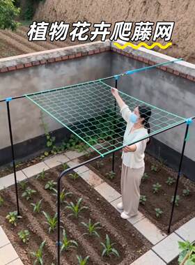 爬藤网植物攀爬网黄瓜丝瓜豆角苦瓜种植网蔬菜百香果加粗网格搭架