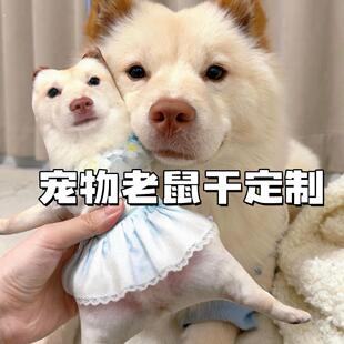 狗狗老鼠干玩偶定制猫咪宠物迷你可爱带骨架可摆造型乳鼠干挂件