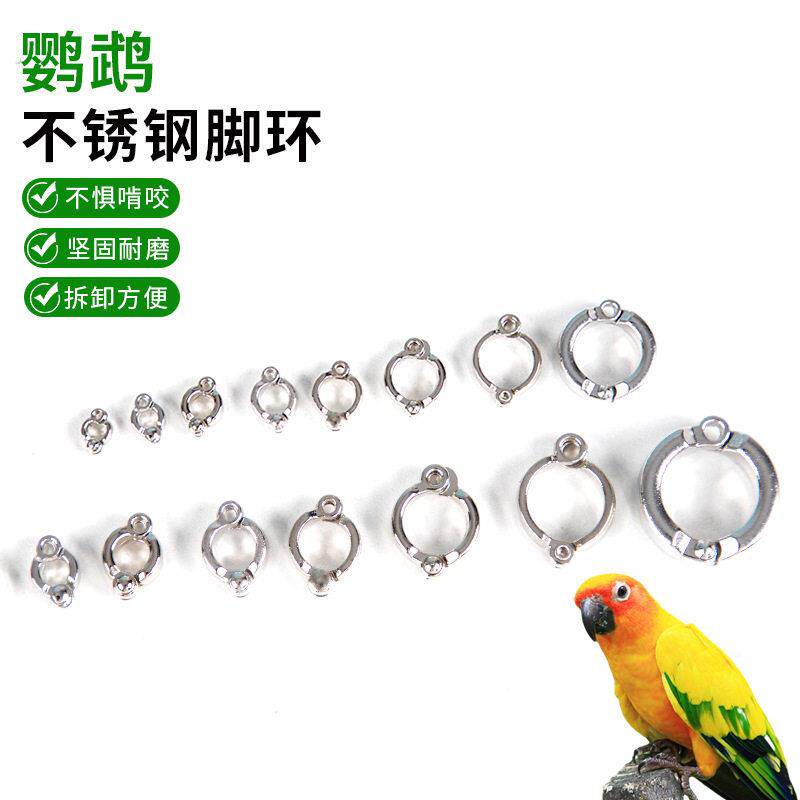 不锈钢脚环禽类孔雀开口活扣鹦鹉训练脚环牡丹八哥虎皮不锈钢脚炼