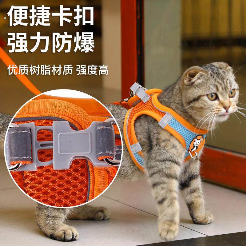 猫咪牵引绳防挣脱专用猫绳小型犬胸背带绳子溜猫绳宠物牵狗绳
