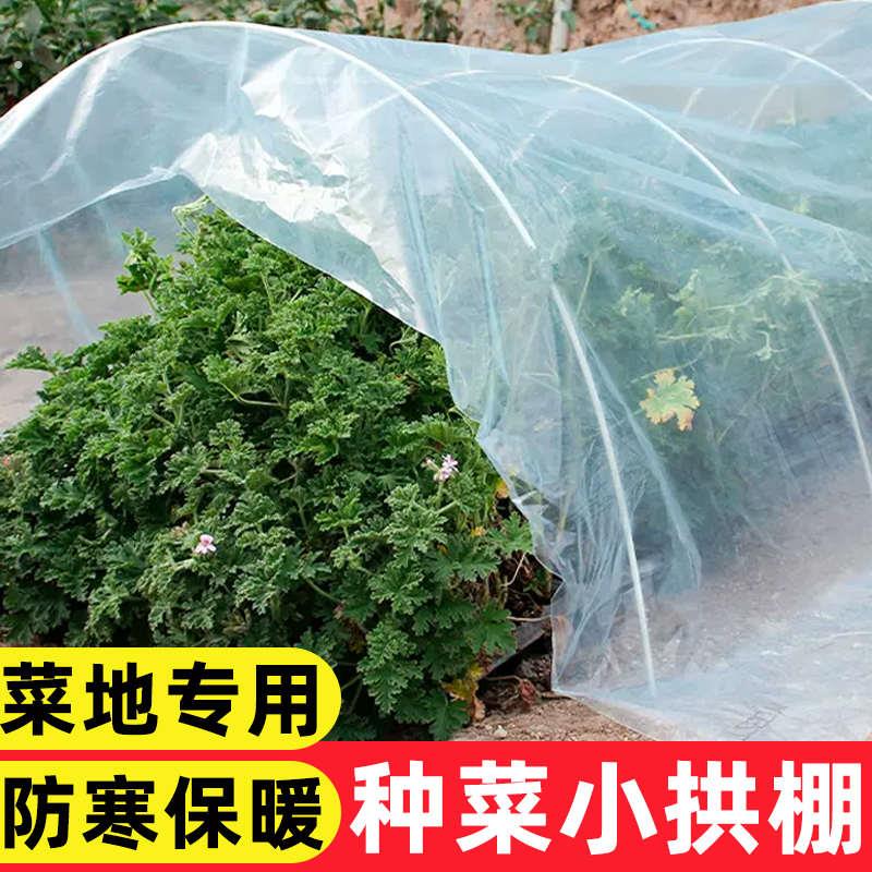 种菜小拱棚菜棚防寒薄膜暖棚保温地膜支架塑料布专用杆大棚塑料膜