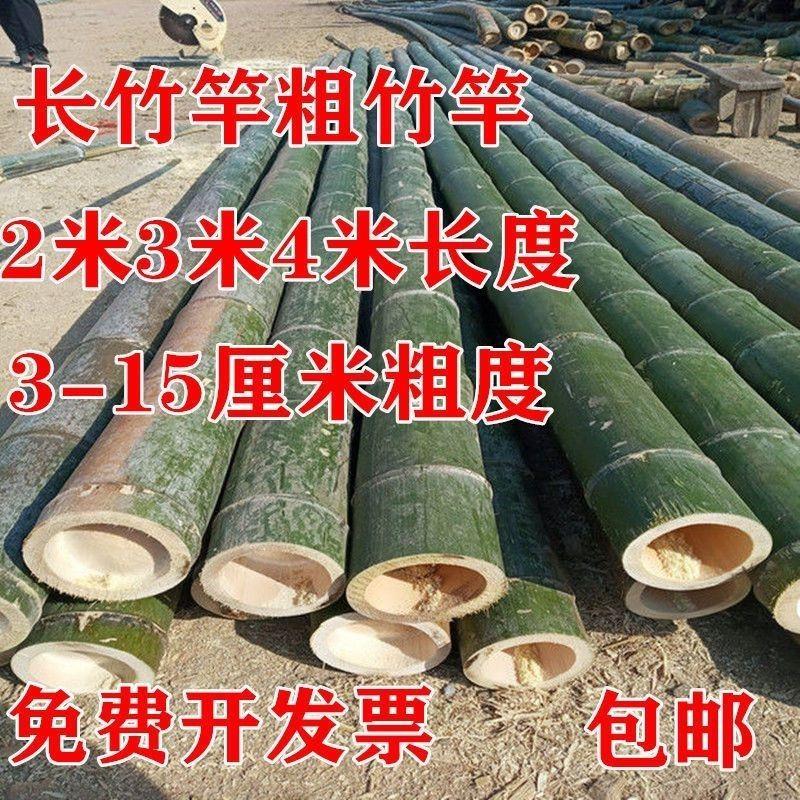长竹竿大毛竹旗干竹婚礼竹竿跳舞竹竿大棚搭架子2米3米4米