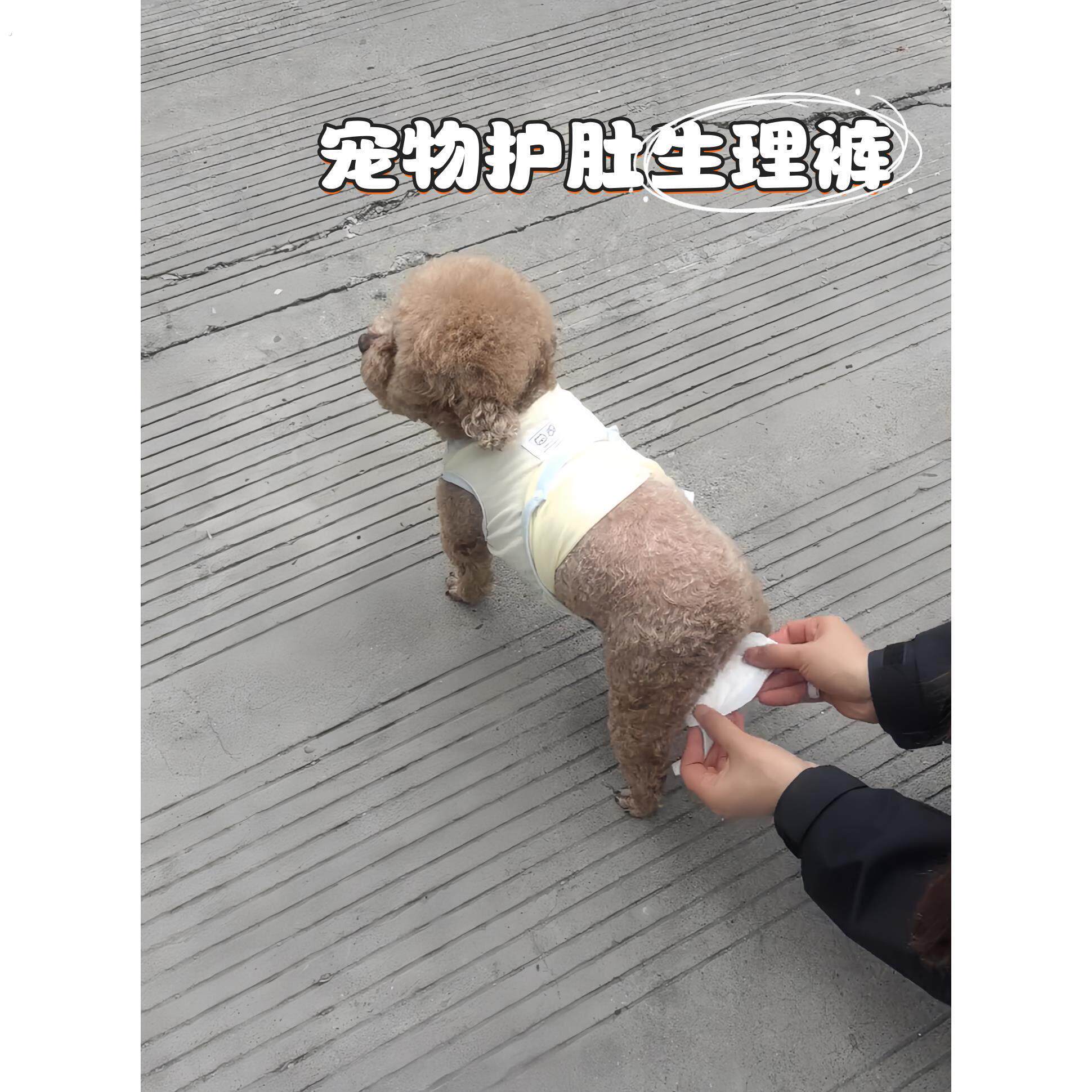 狗狗生理裤泰迪中小型犬月经期防骚扰安全裤无妨碍舒适护肚小背心