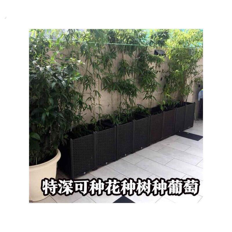 种竹子的专用盆阳台种菜盆家庭特大长条蔬菜种植箱长方果树葡萄
