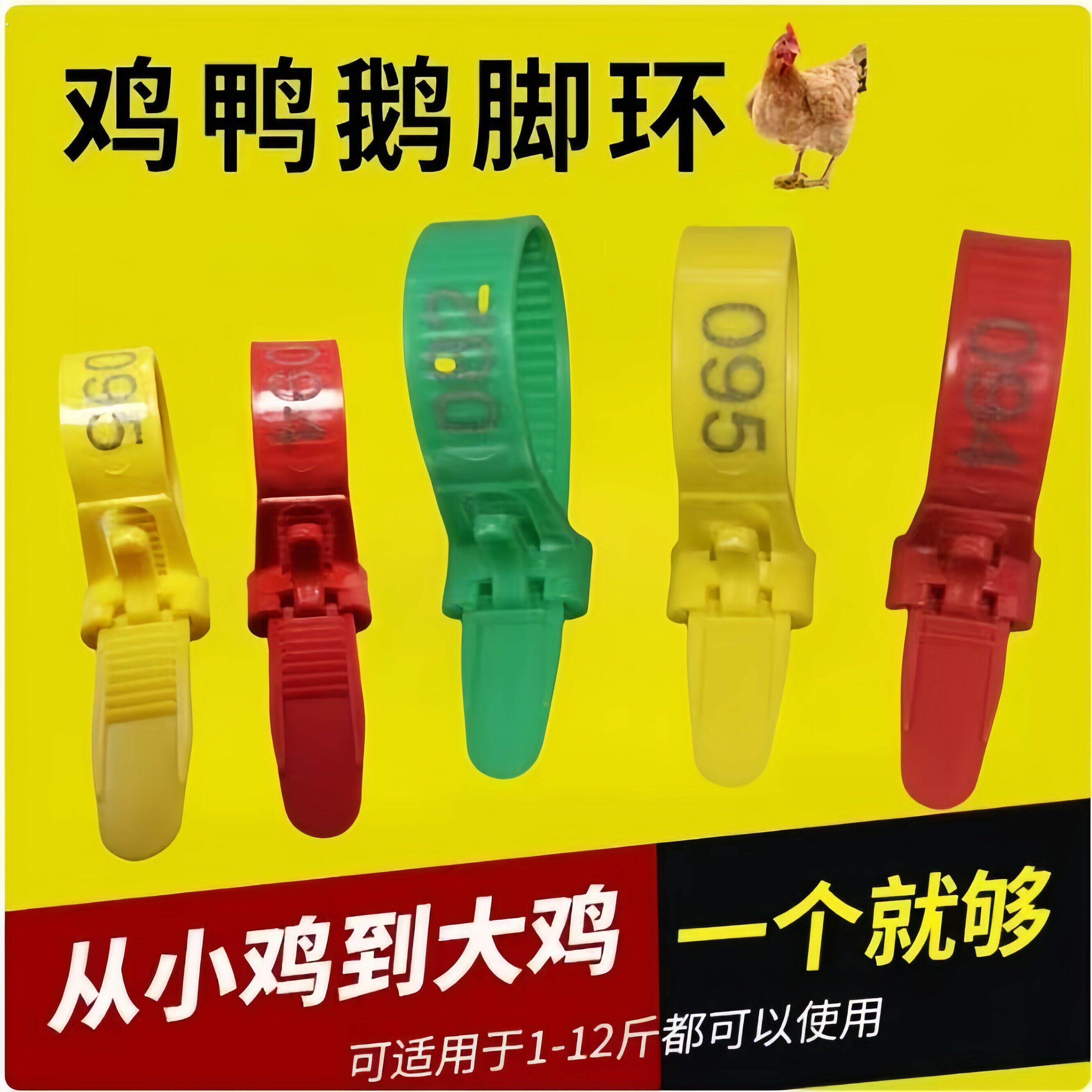 鸡用脚环记号拉扣卡扣家禽鸡脚多功能识别鸡鸭标签家禽类扎带记号