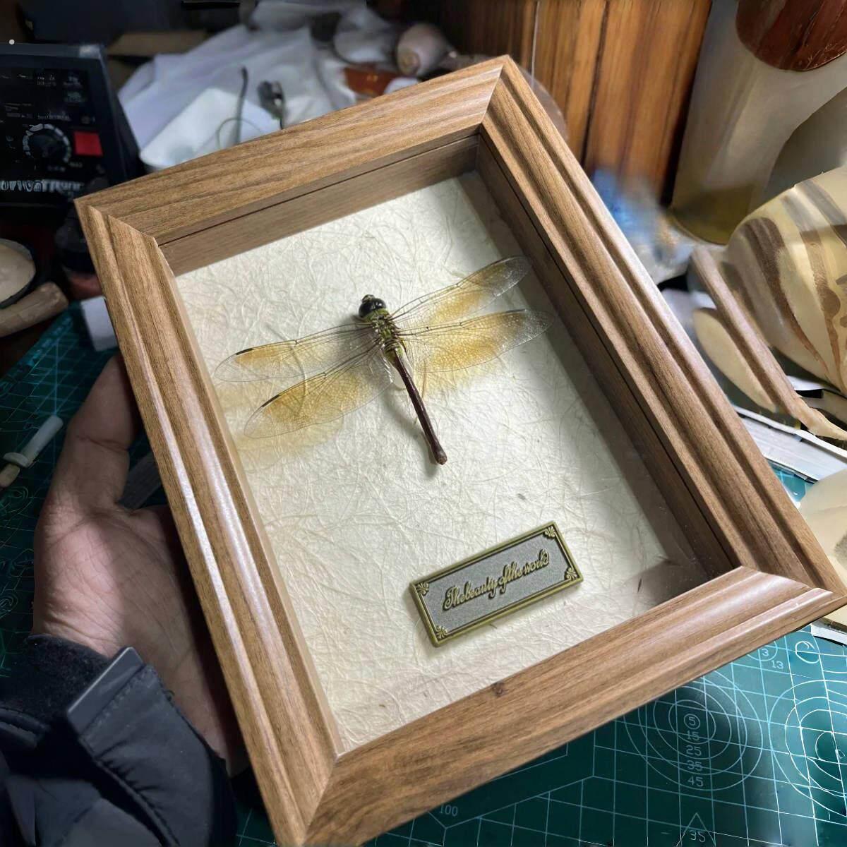 立体中空4厘米深度欧式黑色相框蝴蝶昆虫标本收纳筐方形展示框盒