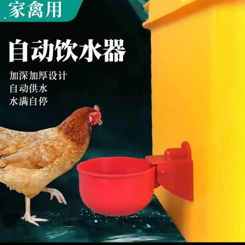 家禽鸽子养鸡专用水壶鹌鹑新款鸭子鹅喂鸡自动饮水器饮水碗