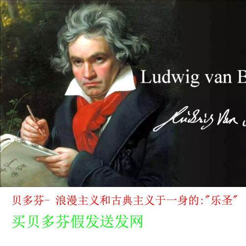 贝多芬同款古典交响乐之乐圣舞台表演音乐逼真蓬松高温丝假发套