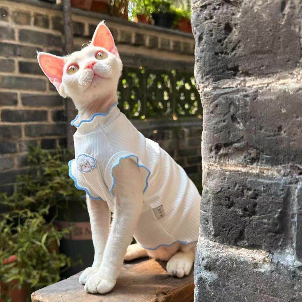 夏季无袖猫咪衣服空调服防掉毛德文斯芬克斯等同款猫背心宠物猫