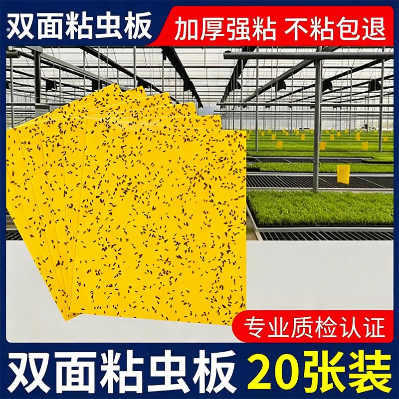 粘虫板黄板双面大棚菜园小飞虫果蝇诱捕器粘蚊贴苍蝇贴果园粘蝇纸