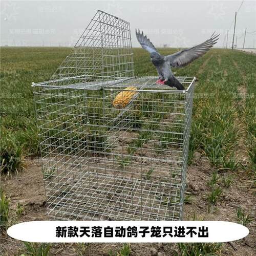 新款家用自动旋转天落笼翻板鸽子笼翻转镀锌拼装自动天落笼