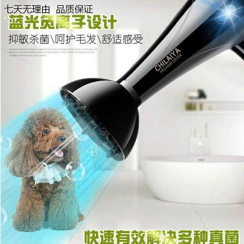 宠物吹风机大功率宠物吹毛吹干洗澡工具大小型犬吹水烘干猫狗通用