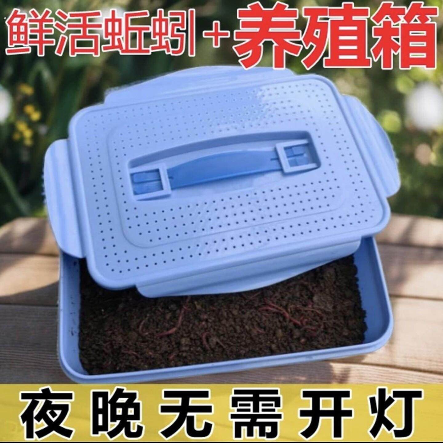 蚯蚓养殖箱防逃跑高档塑料透气观察箱饲养盒学习观察蚯蚓户外垂钓