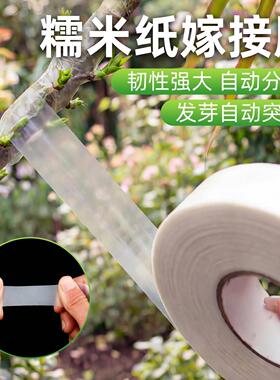 糯米纸嫁接膜月季蔷薇嫁接膜免拆可降解防水透气园艺专用自粘绑带