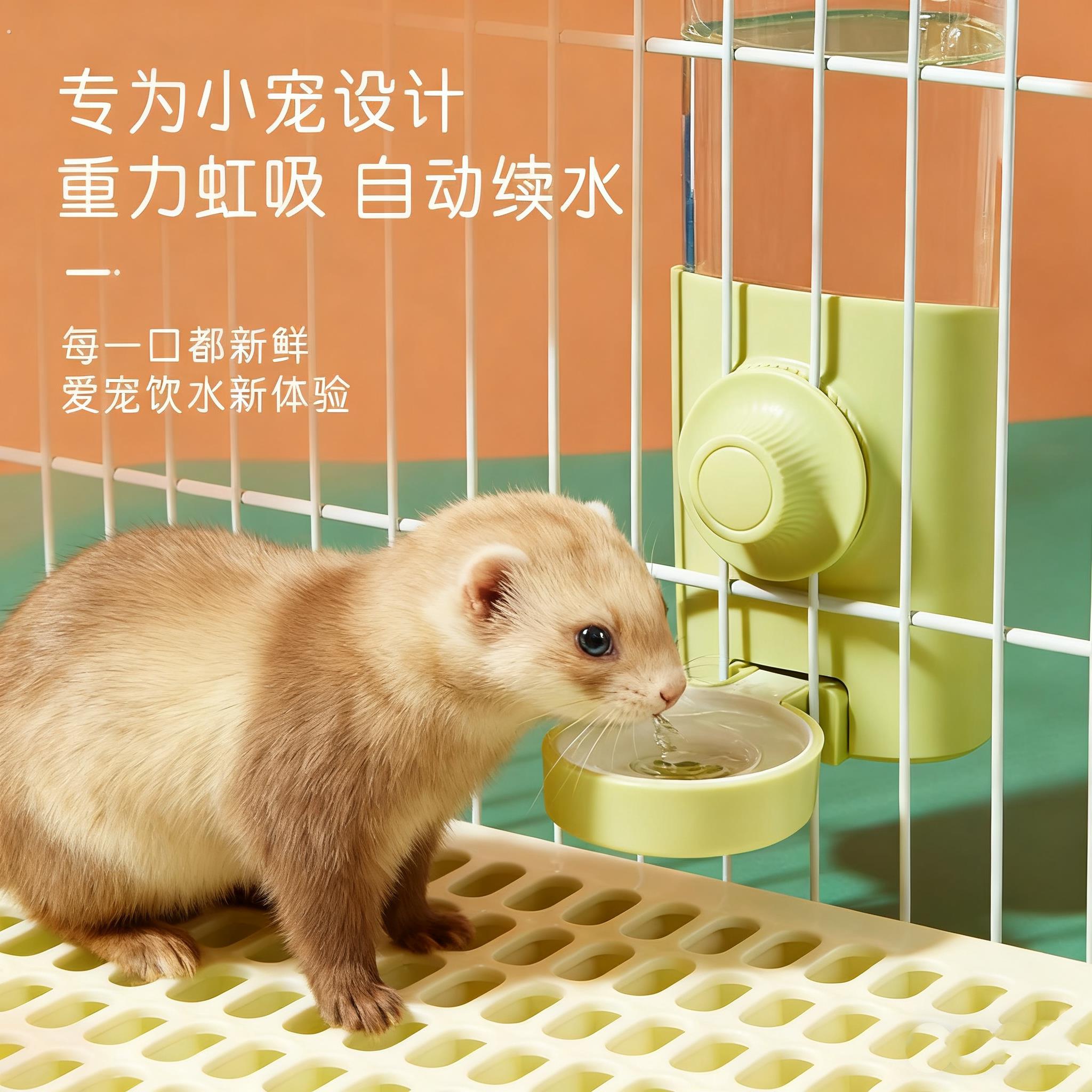 安格鲁雪貂专用饮水器雪貂水壶自动喂食器喝水宠物用品水碗挂笼子
