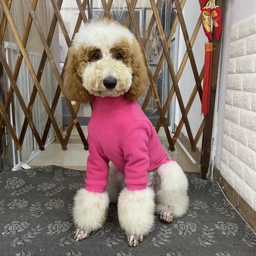 包邮巨贵打底衣服!大狗秋冬衣服萨摩打底衣金毛保暖衣服大狗冬装