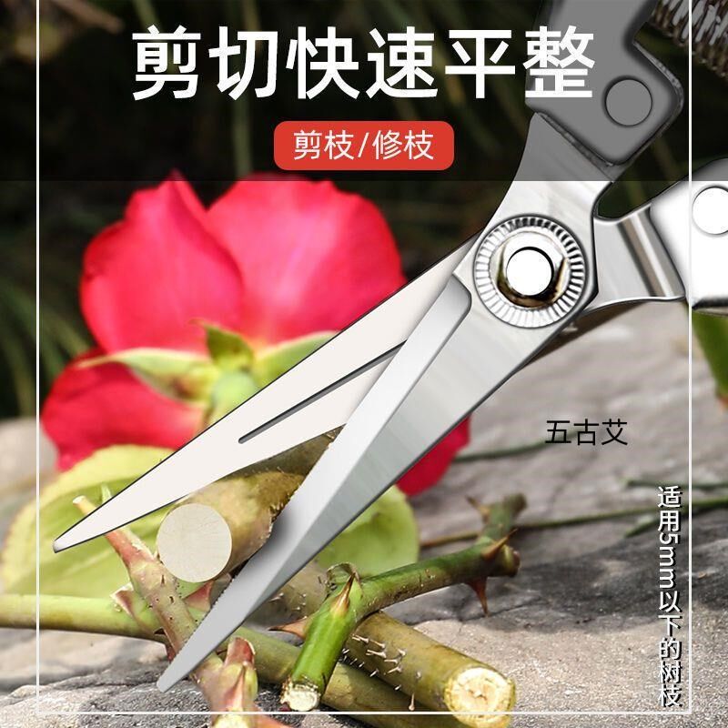 不锈钢稀果剪水果花枝花卉剪刀葡萄剪花椒剪摘花摘果剪刀树枝修剪