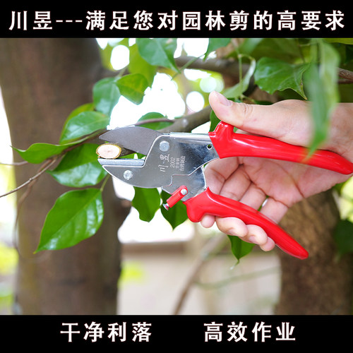 川昱新款202修枝剪园林果树剪刀粗枝花剪省力果树剪园艺剪盆景剪