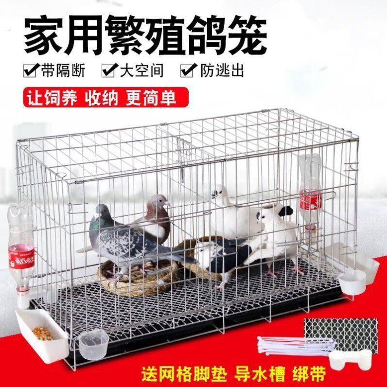 鸽子笼超大号大型不锈钢色家用繁殖笼配对笼鸽子用品用具大号鸡笼
