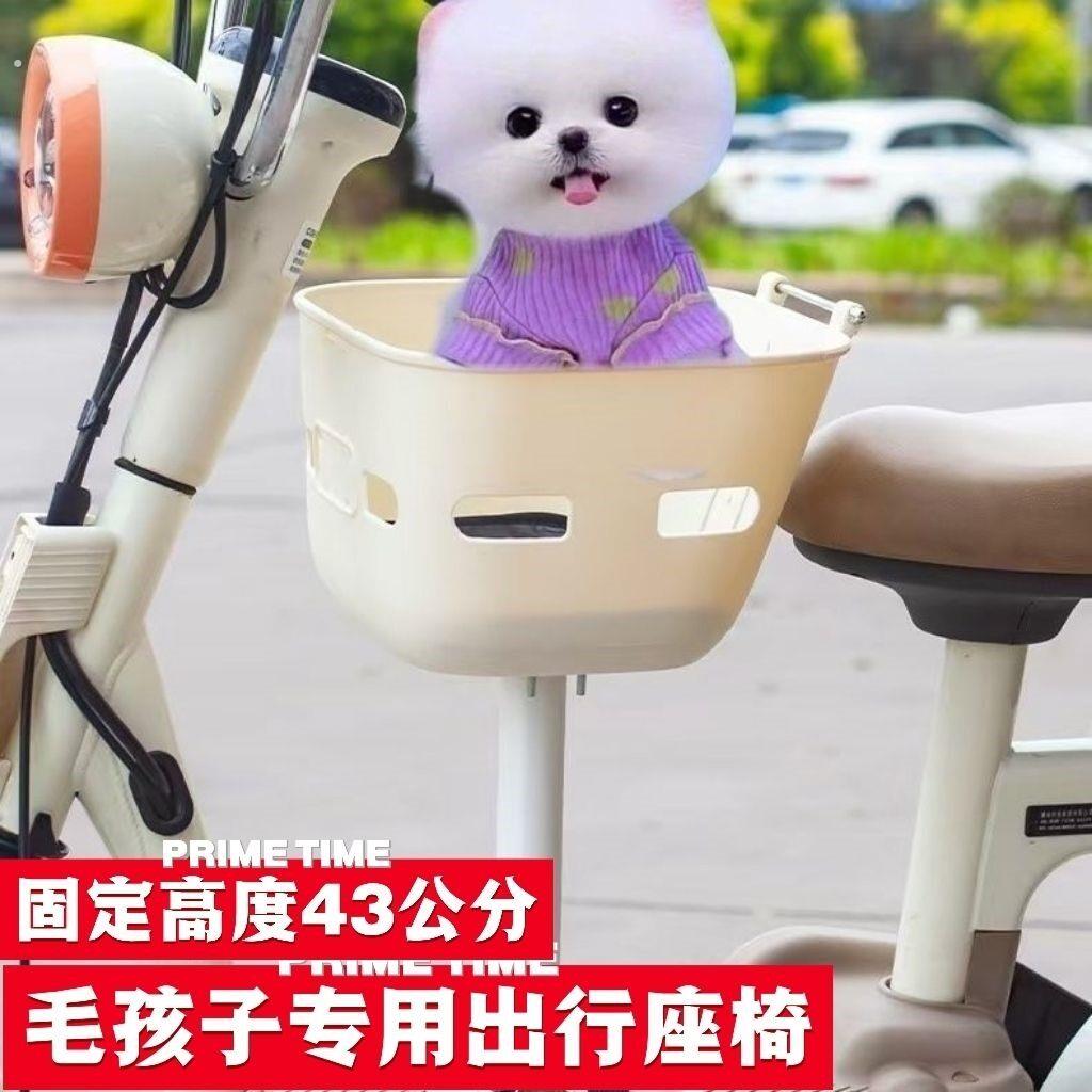 小型宠物犬电动车前置座椅毛孩子户外出行互动带爱犬乘坐出行神器