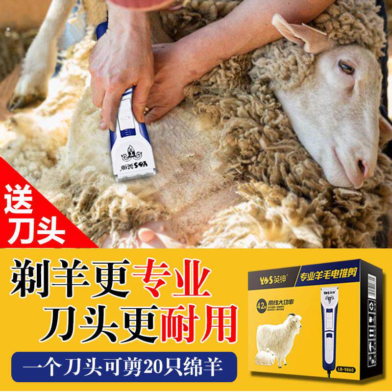 英绅专业绵羊电推剪大功率插电大型犬剪毛宠物剃毛器剪羊毛的推子