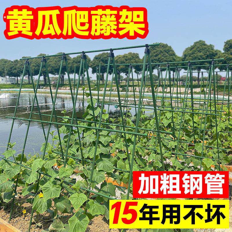 黄瓜爬藤架豆角架杆楼顶种菜架子菜园种菜架子丝瓜蔬菜种植架家用
